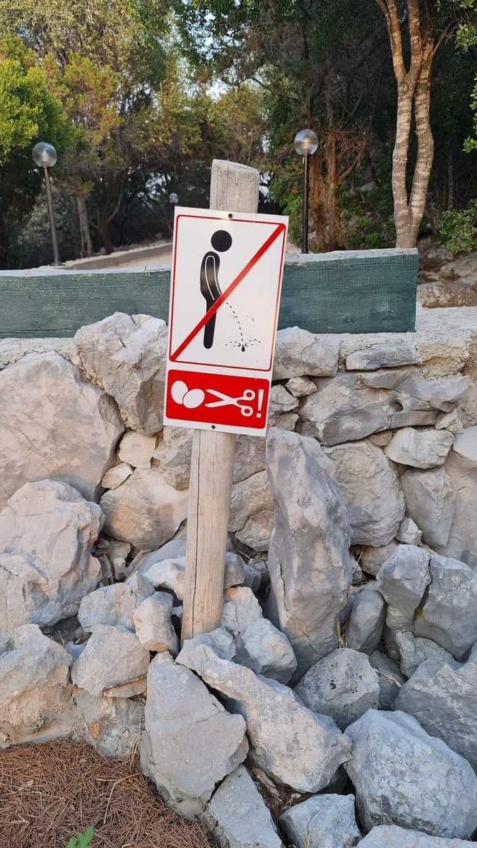 GattoPretto_'s tweet image. #QuintaReiDoSDV

👀