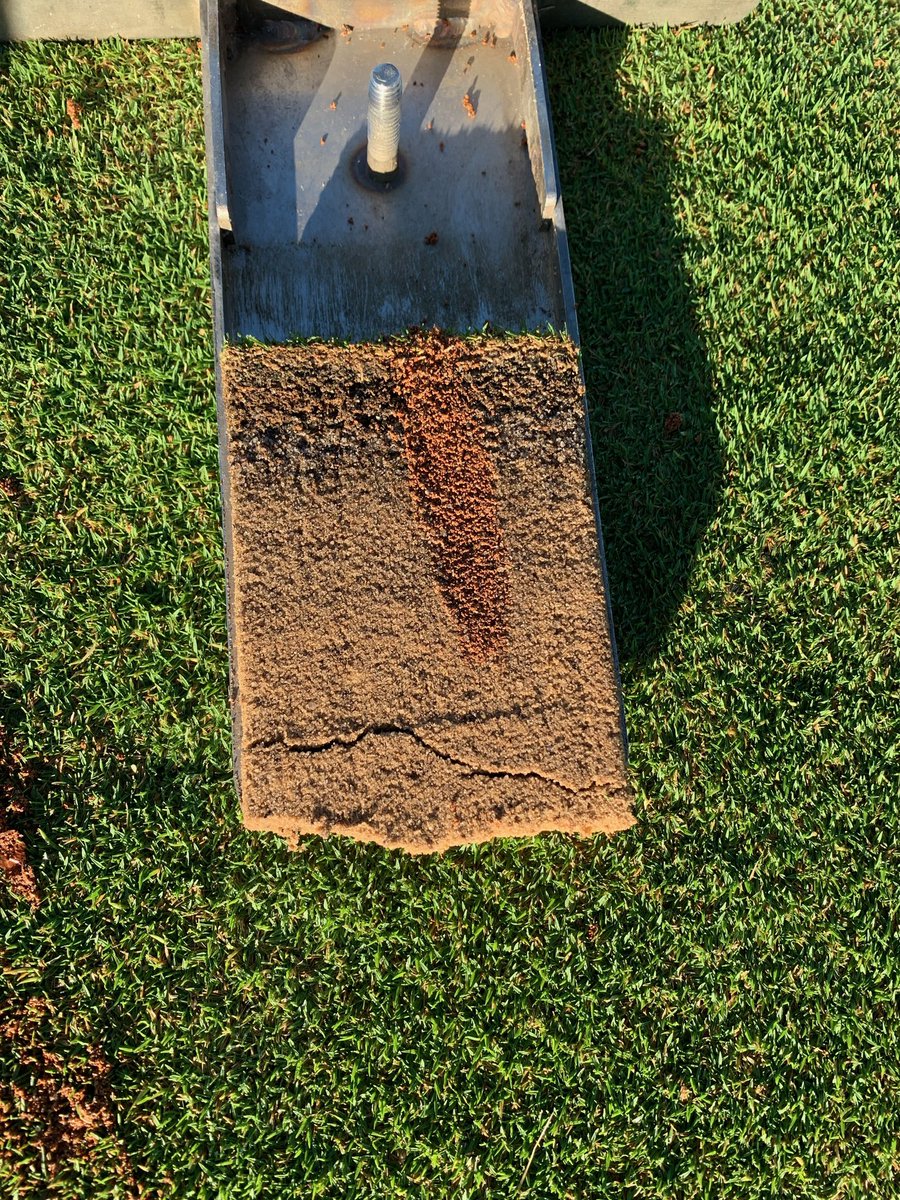 TurfPalmetto's tweet image. Brookstone was a little different but in a good way! My first job with using straight Profile! Let’s get it! 🔥🔥🔥🇺🇸🇺🇸🇺🇸🇺🇸🇺🇸🇺🇸🇺🇸