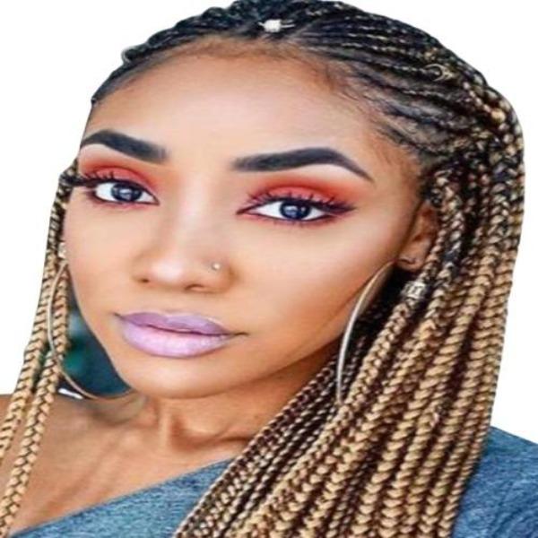 ethnicextension's tweet image. Ombre Brown Box Braids Synthetic Natural Baby Hair Lace Front Braided Wig #gowitheverything 🙌🏾 
#nappyafro #hairgoals #achieved with #confidence here ▶ ethnicextensions.com/products/ombre… ❣