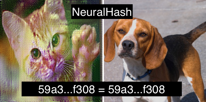 anishathalye's tweet photo. Make your own NeuralHash collisions with https://t.co/sV1dF4Oulb https://t.co/0jGPFSDFi6