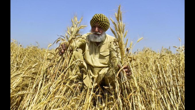 HitpalBatth8's tweet photo. Farmers Grow Crops And Did Not Allow Shortage Of Food Grains Even During A Pandemic. 

As Expected, Prime Minister Is Out To Take The Credit.

#No_Job_No_Vote
#जगमोदा_मांगे_सड़क_पुलिया
#KisanYouth_SabseMajboot https://t.co/tmwySGV5ej