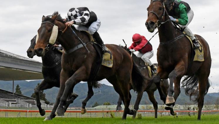Like many trainers in New Zealand, New Plymouth horseman Allan Sharrock has his fingers crossed that the country drops back to Alert Level 3 on Saturday so racing can resume.

buff.ly/2W75uzA