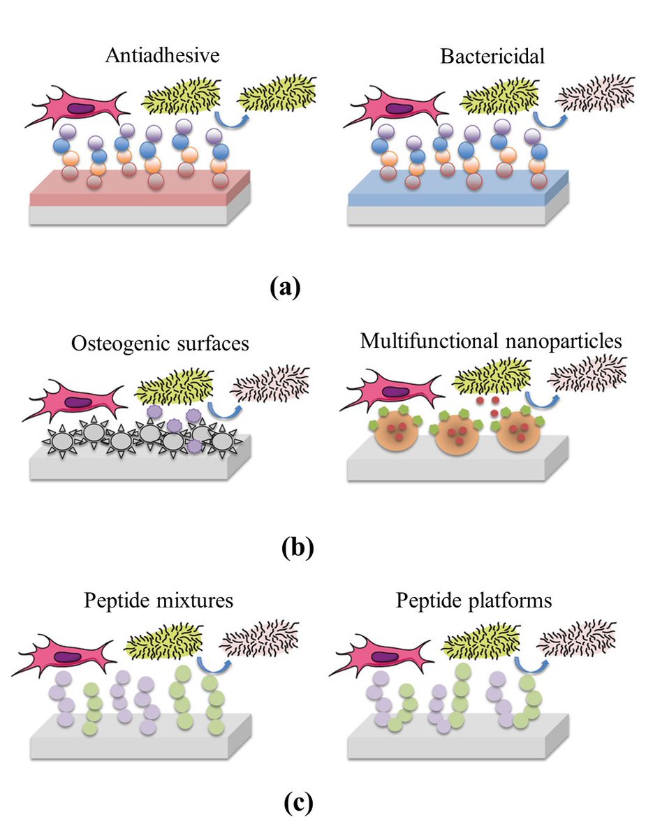 Our latest #article reveals the most promising coatings for the #nextgeneration of #selfhealing, #selfcleaning, #bioactive and #sensing #smart  surfaces.
Full paper: doi.org/10.1016/B978-0…

@wlv_uni #wlvimpact #AdditiveManufacturing @BaroutajiA @wlv_uniNews