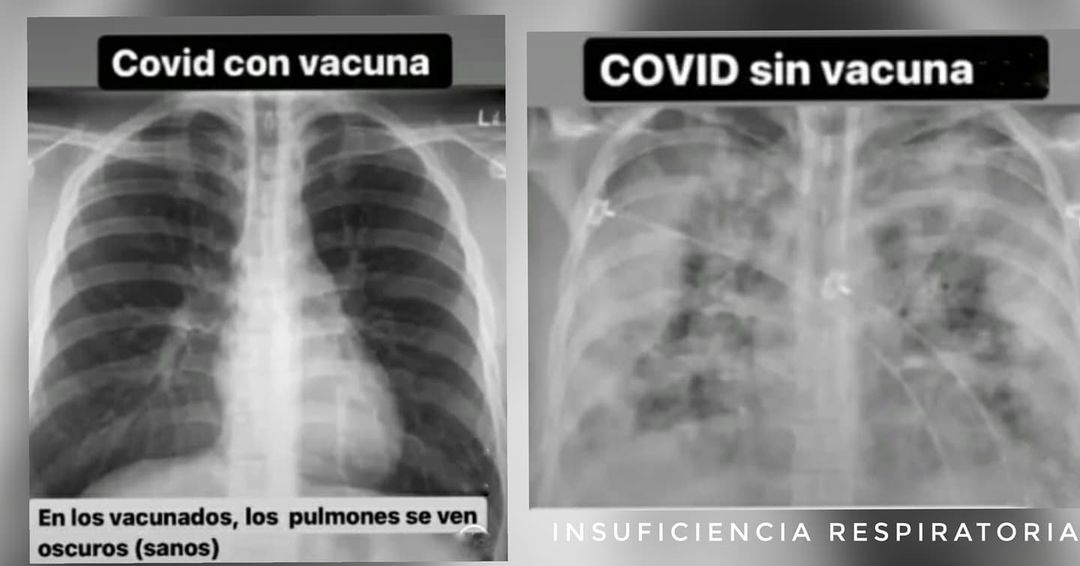 Darío Terán Duarte tweet media