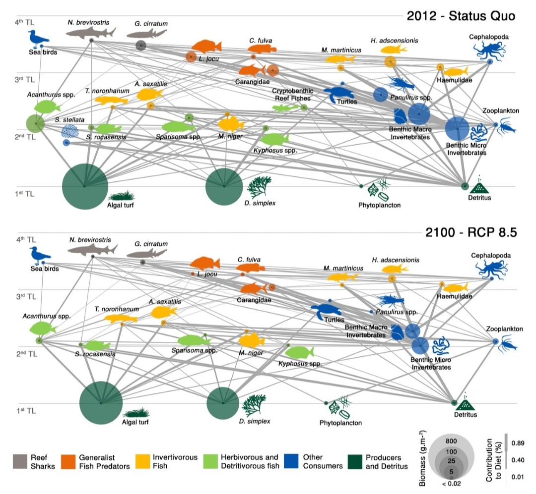 Wondering how are #foodwebs in #SWAtlantic reefs and how they will change with #warming?🤔 check our new paper <a href="/EcosystemsJ/">Ecosystems Journal</a> from LeoCapitani's PhD <a href="/PPGECOUFRN/">Pós Graduação em Ecologia - UFRN</a> 👇rdcu.be/cuSrL Sadly, #foodwebs will lose efficiency and biomass with #warming 😔We need #ZeroEmissions ASAP!