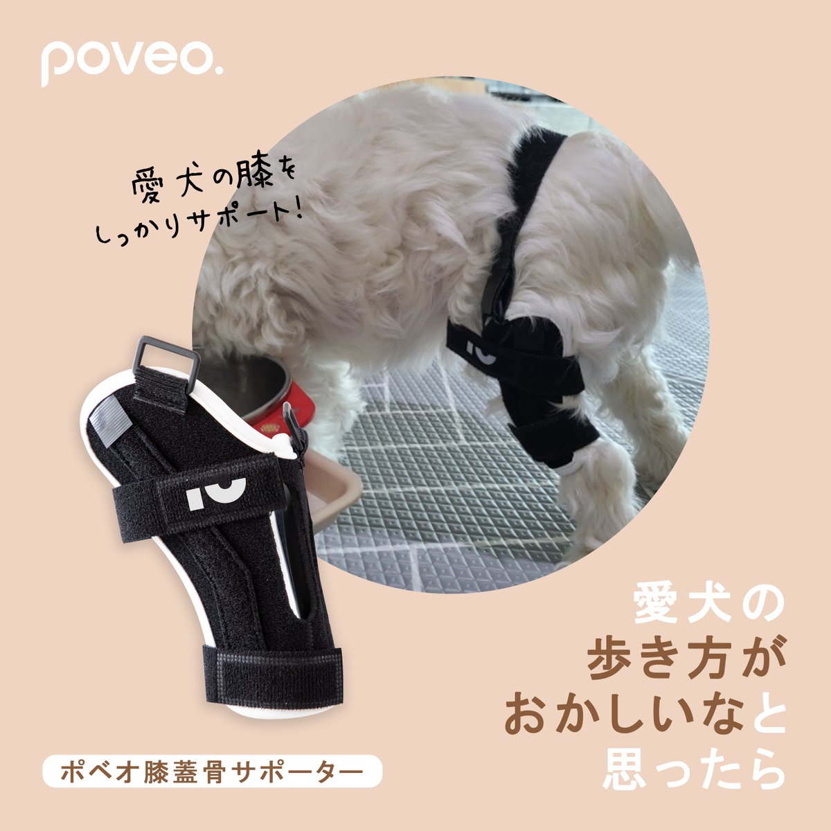 ポベオ 犬用膝蓋骨サポーター 右膝 Sサイズ（レベル2）新品 未使用