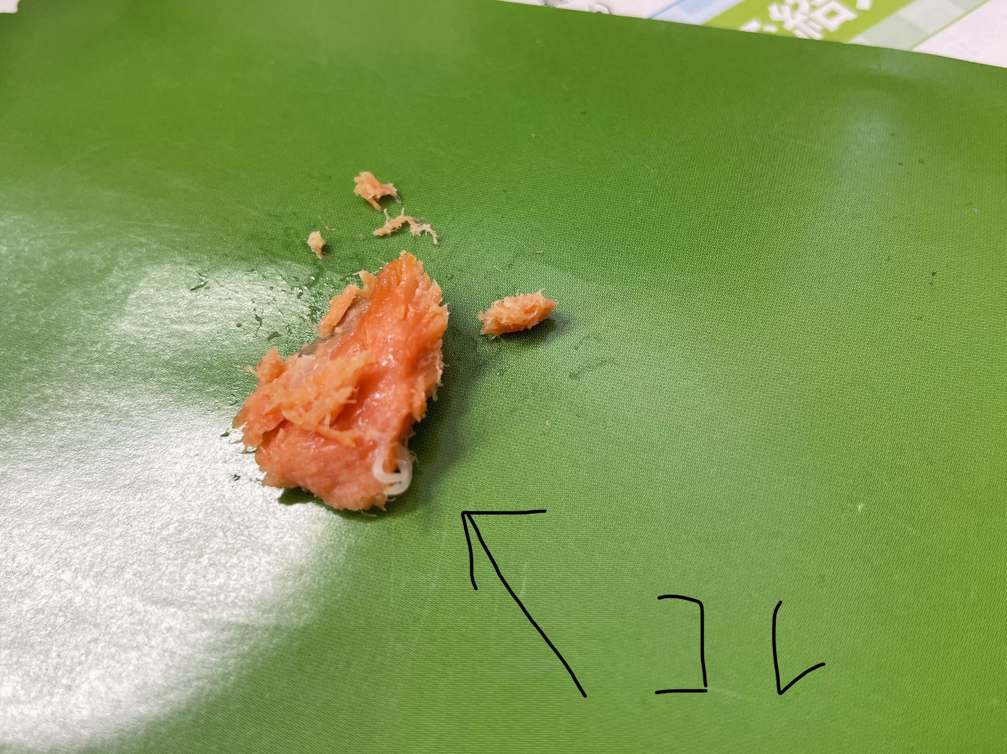 Healing Rabbit 悲報 たった今 昼ごはんの 紅鮭オニギリの具に アニサキス寄生虫発見 内視鏡する医者だから 間違いないです もしアニサキスアレルギーが ある人だと 死骸でもアレルギー反応でます 生の鮭茶漬けでも 発見したことあり お気をつけ