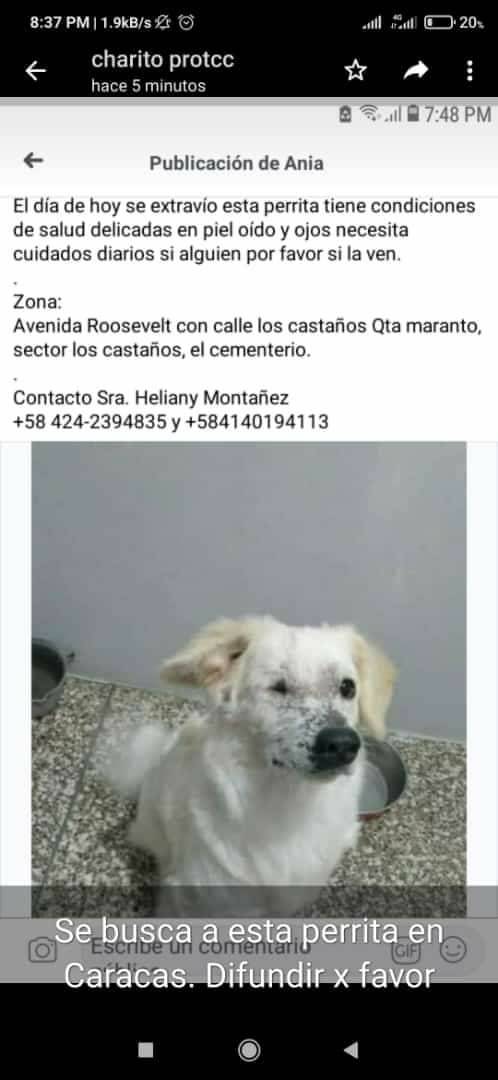 #SeBusca El Cementerio #Caracas. Si la ves por favor dale resguardo y avisa a su familia, tiene condiciones de salud delicada