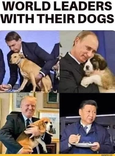 ALPHADOGE PRESALE IS LIVE NOW 🚀

GET NEAR 2X PROFIT BY INVESTING IN ALPHADOGE PRESALE 💸

FILL YOUR BAGS FOR A FANTASTIC MOON RIDE 💰

BUY BUY BUY BUY BUY 🤑

🌐 WEBSITE - alphadoge.club

🤑 PRESALE LINK - dxsale.app/app/v2_9/defip…