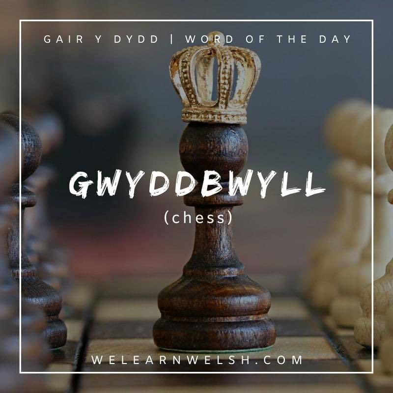 We Learn Welsh (@welearnwelsh) on Twitter photo Gair y dydd / Word of the day: gwyddbwyll (chess)
Dw i eisiau dysgu sut i chwarae gwyddbwyll. = I want to learn how to play chess.
#welsh #cymraeg Gair y dydd / Word of the day: gwyddbwyll (chess)
Dw i eisiau dysgu sut i chwarae gwyddbwyll. = I want to learn how to play chess.
#welsh #cymraeg