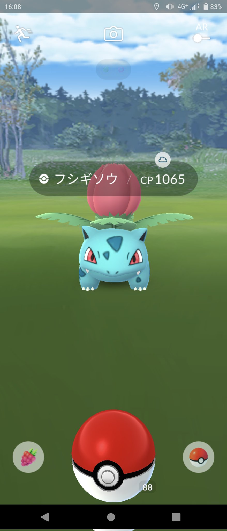 𝕐𝕦𝕜𝕒𝕟𝕒 ポケモンgo フシギバナ フシギソウ フシギダネ フシギバナよりフシギソウの方がcp高い 笑 フシギダネは安定のcp T Co Dssgfwwui6 Twitter