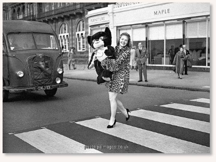 Pets have always been welcomed at Brighton Met, even the oversized ones! Who knew there was a zebra crossing just in front of the now Salt Rooms.... #tbt #petfriendly