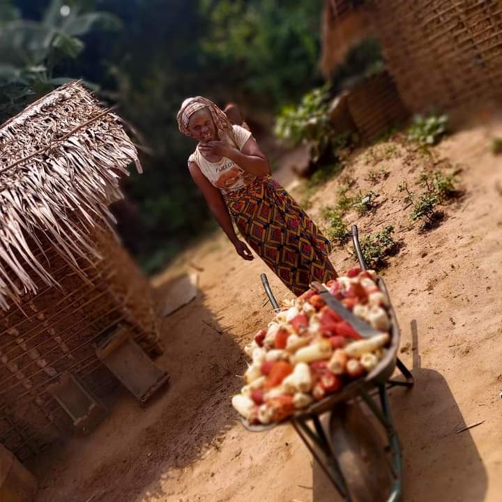 Vanessaclaude1's tweet photo. « Certains passent tellement de temps à se ”compliquer la vie » qu’ils perdent complètement de vue la beauté et la magie de ce monde. »
– Richard Carlson
Nous poursuivons la construction de notre Village.

@VanessaMavila1 
#voyage #Congo #Makoua #Eboko #Aboua #nature #solidarité https://t.co/9tFsBnfd2D