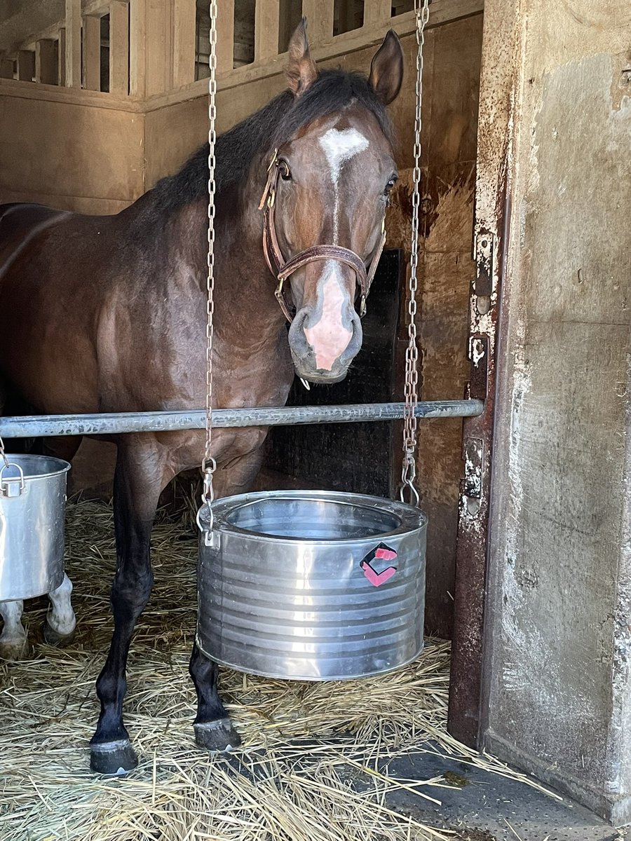 ノーヴァレンダ Hashtag On Twitter