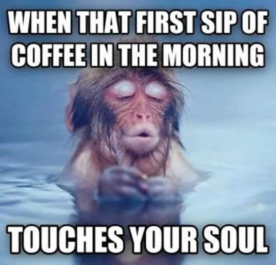Good morning
Thank you @JohnJohnrich544 for making me my first glorious, soul warming ☕ of the day! (And yes i mostly likely did look like this 👇 whilst drinking it☺
#firstcuppa
#goodmorning 
#ThirstyThursday 
#heaven