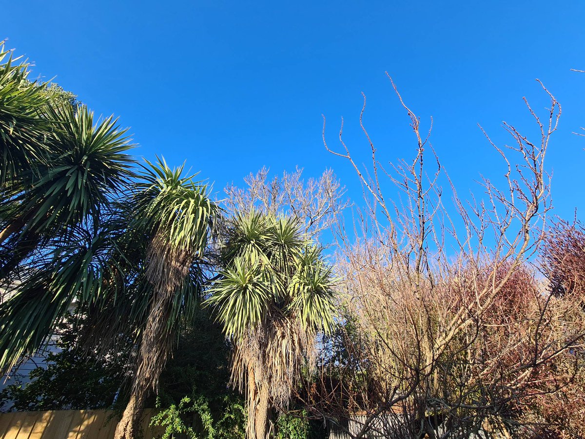 weatherbom's tweet image. Might still be winter but another 20c afternoon in Tai Tapu #notspringyet @NapierinFrame @WeatherWatchNZ