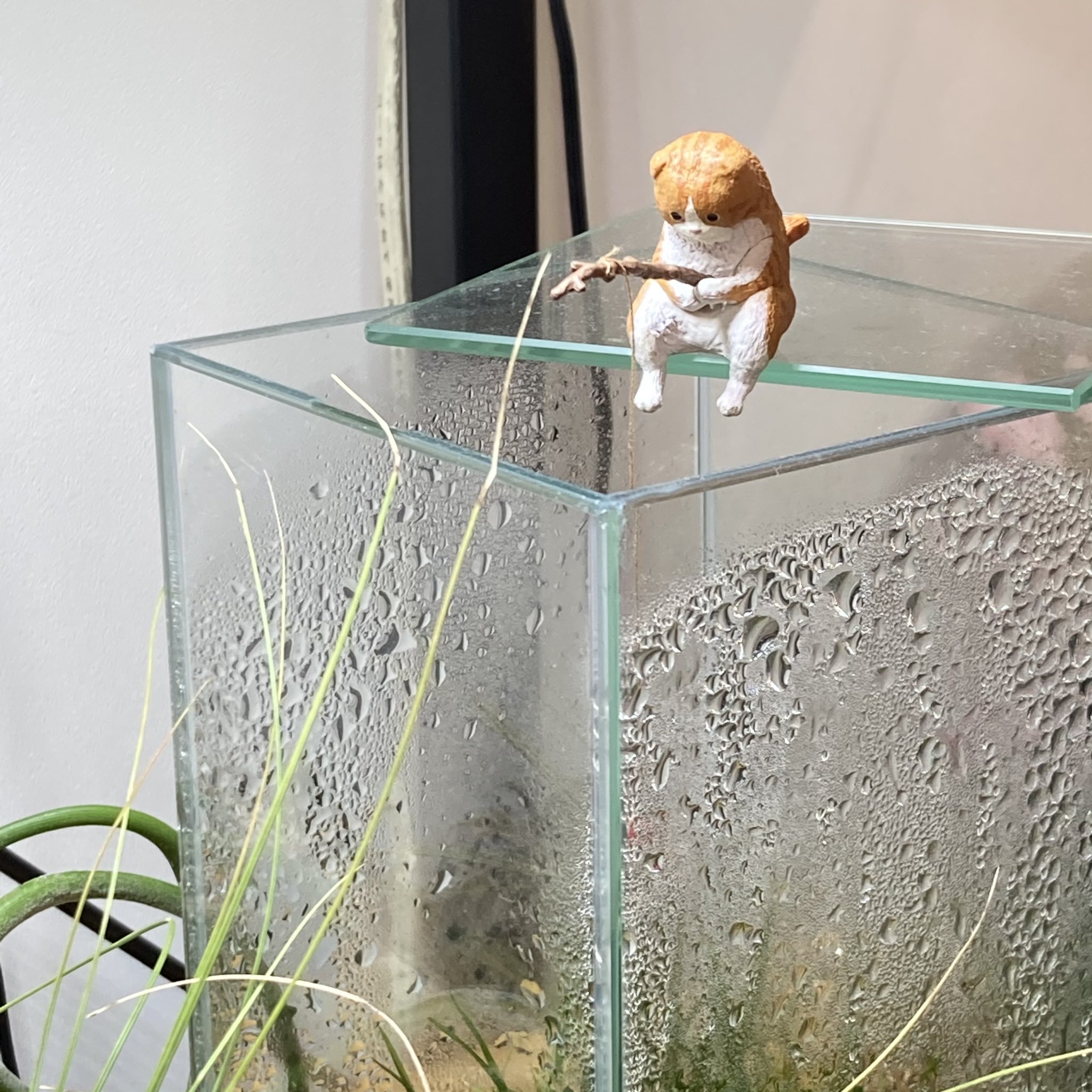 Gex Aquarium ジェックス アクアリウムの話ではないのですが 釣りをする猫たちが可愛すぎて全５種集めたお話です 水槽との相性が抜群で メダカ鉢でも釣りをしてみようと思います ガチャガチャ 釣り日和 猫たちのひまつぶし お魚さんが誤飲