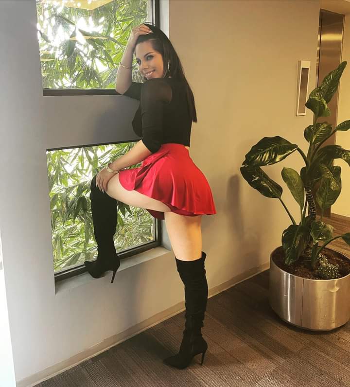 Inserte título 🤪