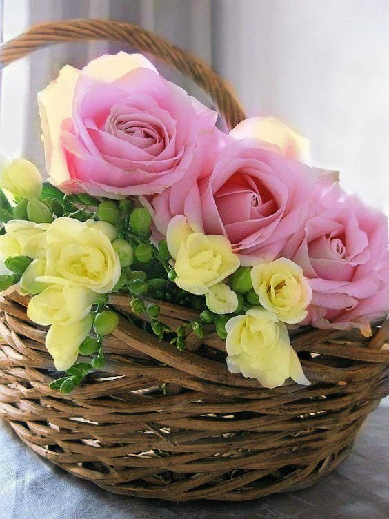 xetra_a's tweet photo. https://t.co/0OL1APQD32