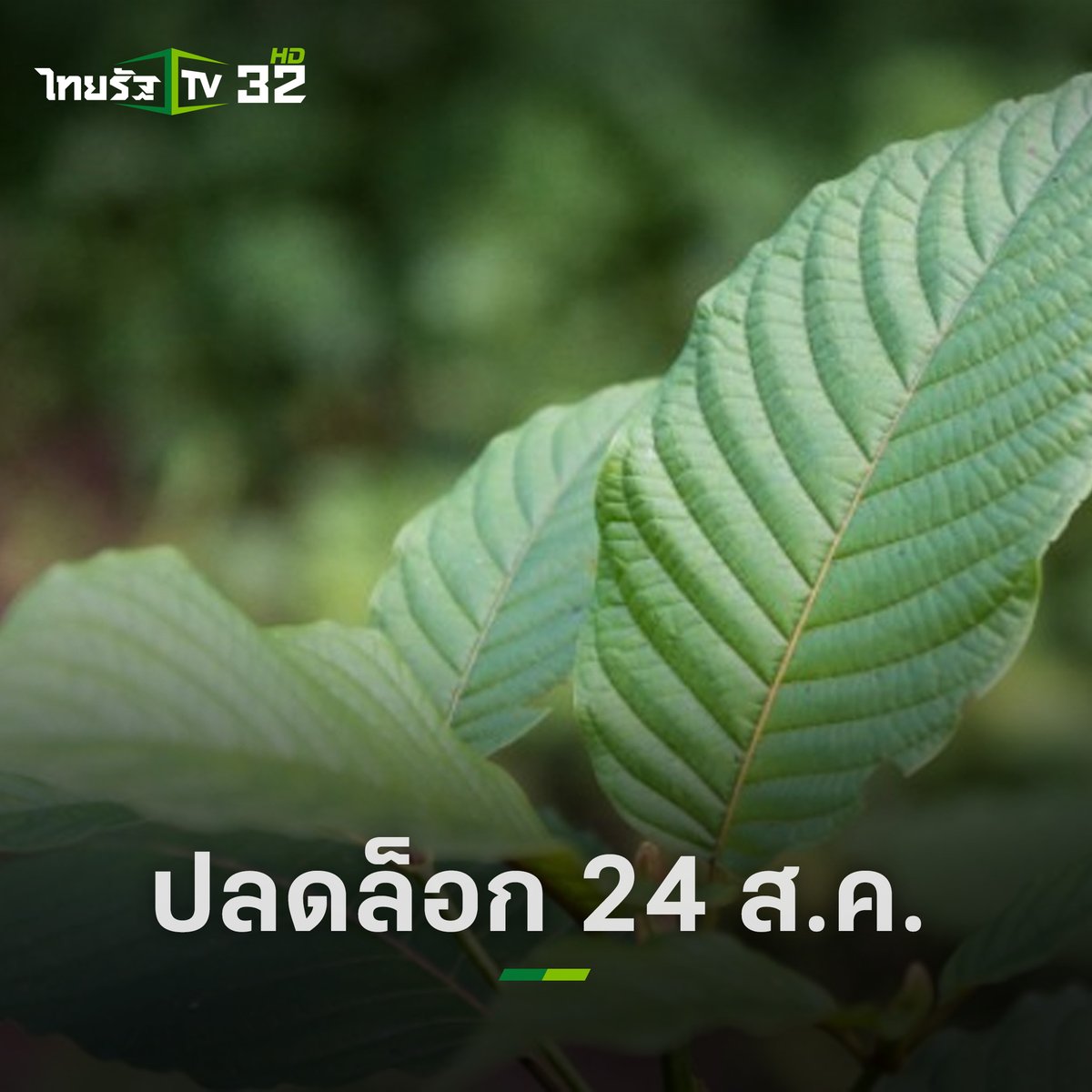 ThairathTV tweet media