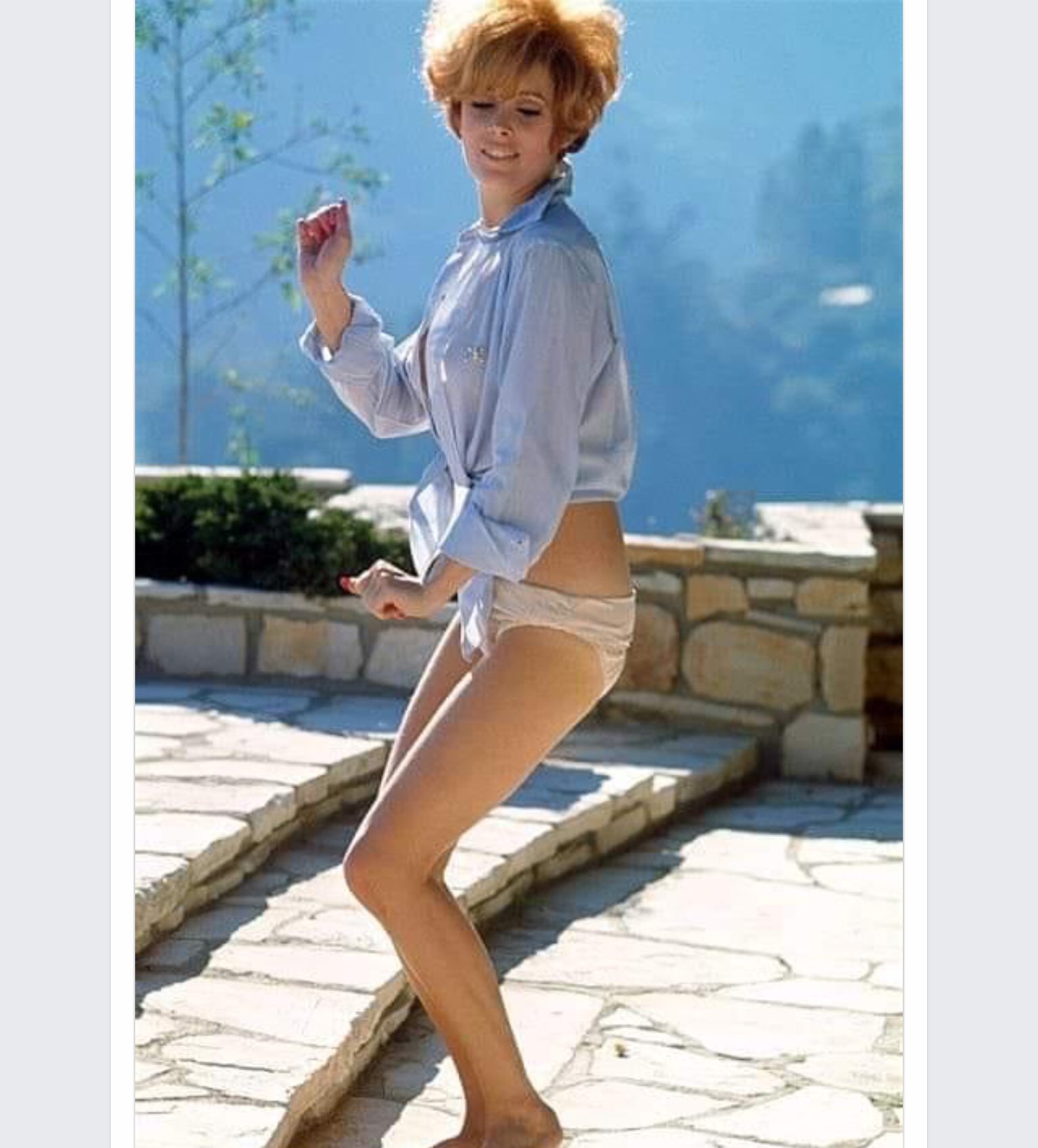 Happy Birthday, Jill St. John. 