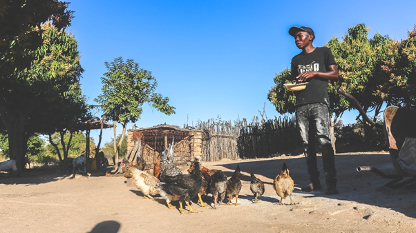 ZRBFZIM's tweet photo. #YOUTH AND RESILIENCE #thread. Multiple streams of income have enabled, 21- year old Edmore Bara, from Zvishavane to build #resilience. He was part of a group trained by the ZRBF-ECRIMS on social enterprises development to reduce youth unemployment. https://t.co/uG9SuYl3ai