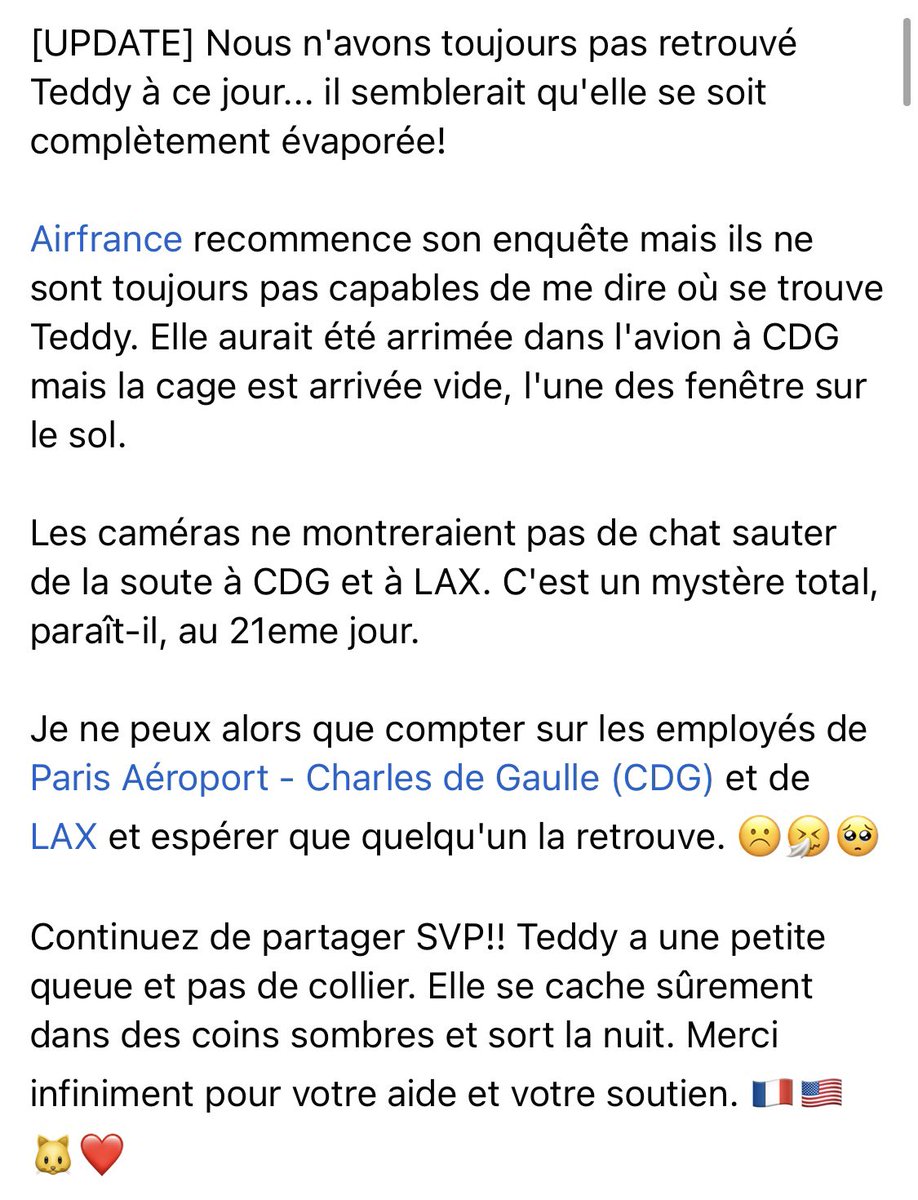 petitgautama's tweet photo. Des nouvelles … #onrechercheteddy https://t.co/lzsOgMfkoZ