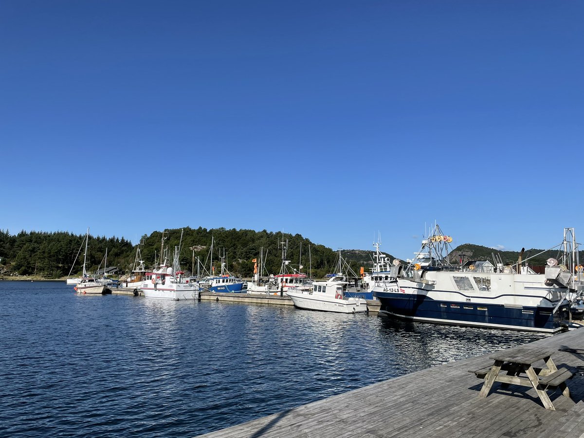 Lindesnes now. Have a nice day!🦋