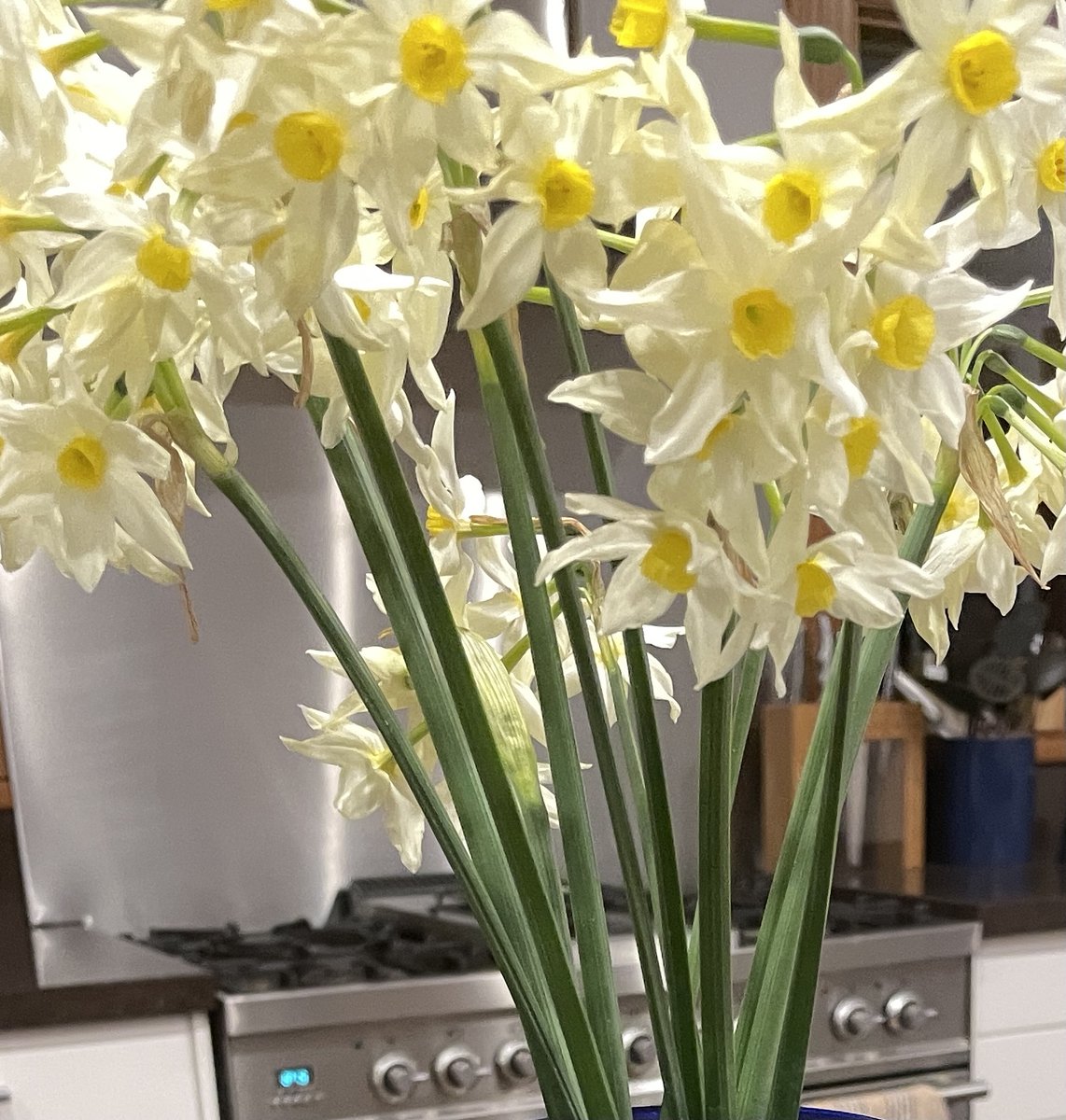 Ruth Bollard (ruth_sod) Twitter