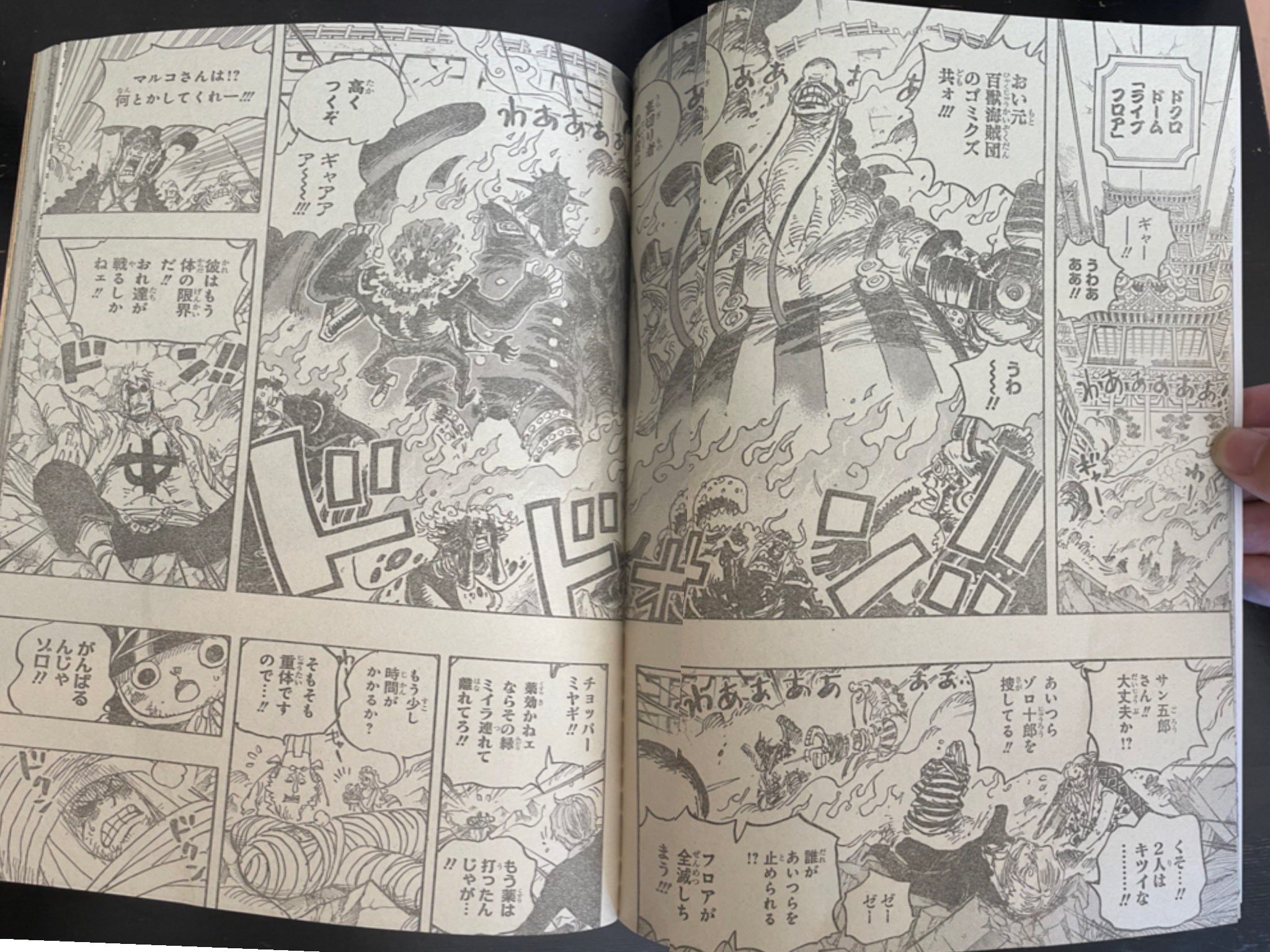 OPspoiler on X: One Piece Chapter 1022 Raw #ONEPIECE