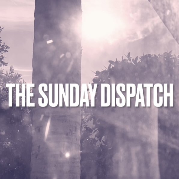 Edward L. Canavan tweet media