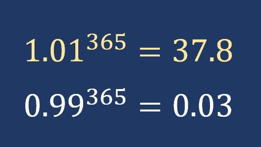 19 45 1 1 1. 0.99 В 365 степени и 1.01. 365 В степени. 0.99 И 1.01. 1,1 В степени 365.