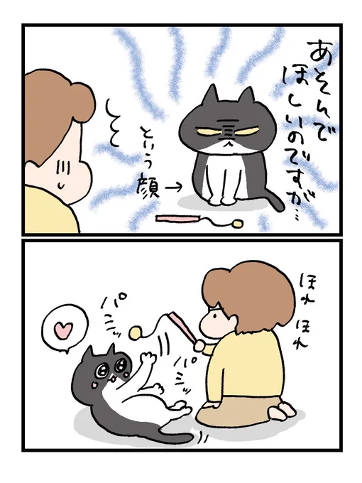 遊んでほしい猫
#にゃろめとちょろ 