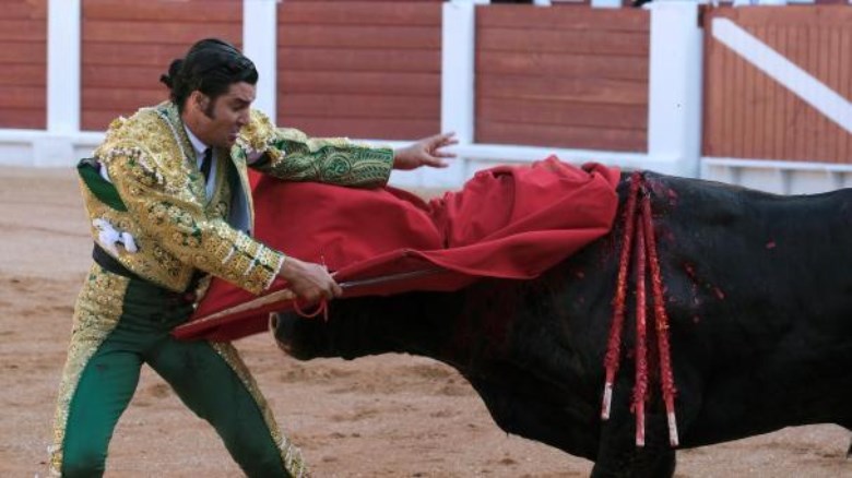 Podemos Animalista: “La falta de voluntad política trae de nuevo la tortura animal a nuestra ciudad” | Alcalá Hoy buff.ly/3zcSrv6