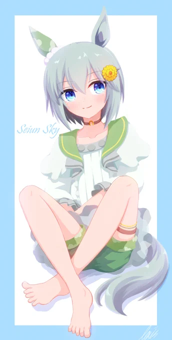 スカイまとめ 
