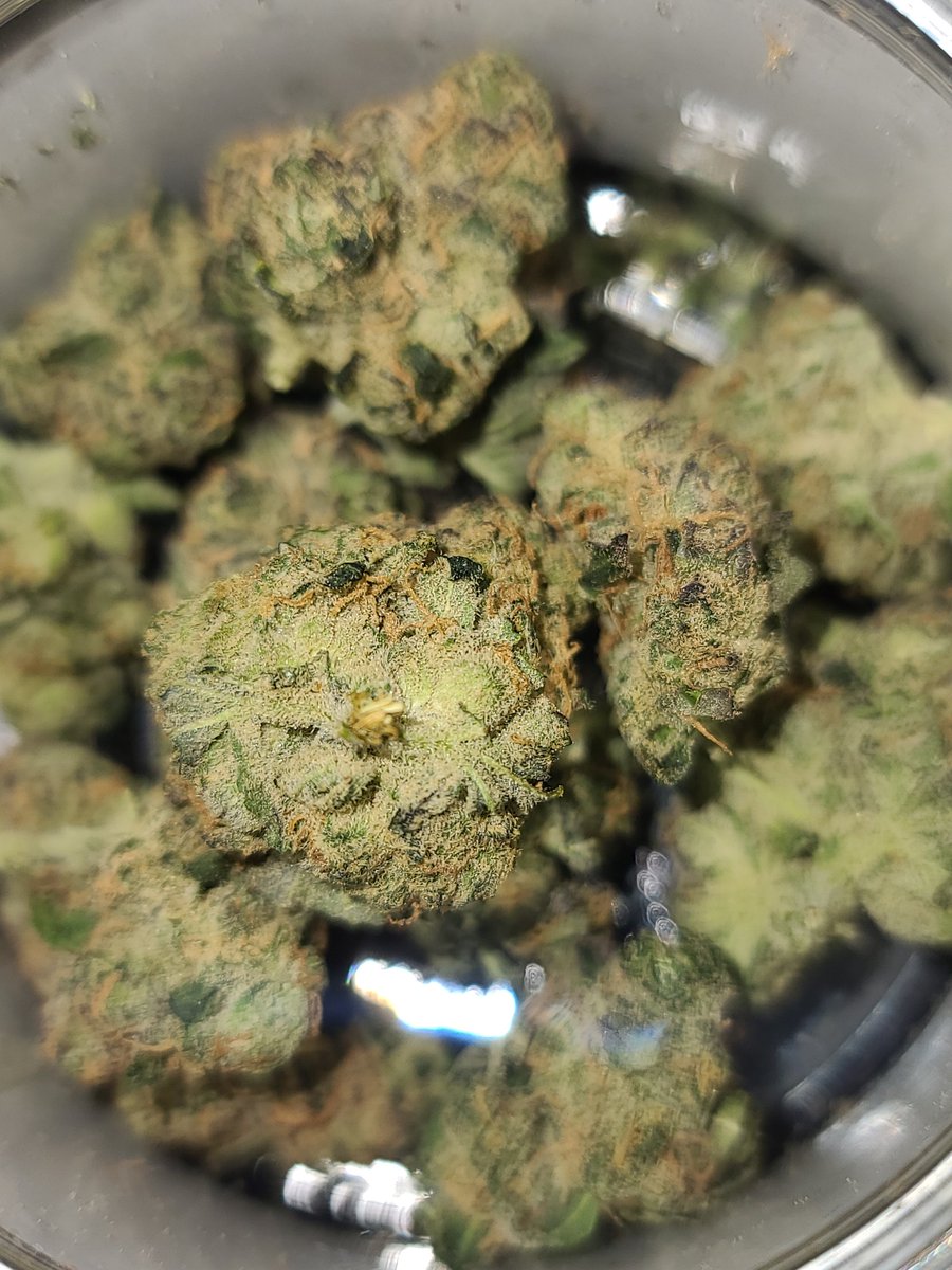 DabSaiyan's tweet photo. #TropicalCookies https://t.co/oAZZ7MfVGO
