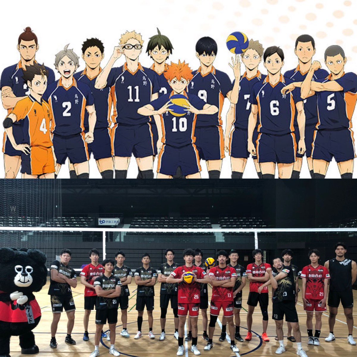 今日8/19はハイキューの日だド！🏐✨
2021-22シーズン開幕までもう2ヶ月切ったド🐺🌟
これからもみんなでバレーボール盛り上げるド〜☺️💓

#ウルドくん #ウルフドッグス名古屋 #ハイキューの日 #ハイキューの日2021 #ハイキュー #烏野高校バレー部