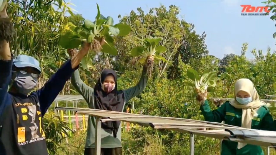 ifoamorganics's tweet photo. ✊ “Do not be afraid to be a #farmer! Being a farmer is a very proud job, especially for younger generations.” - #OFIA Grand Prize Winner TOM, founded in Indonesia in 2008, partners with local farmers to produce #organic vegetables & help them make the switch from conventional 🌿 https://t.co/N1WbvzVkwJ