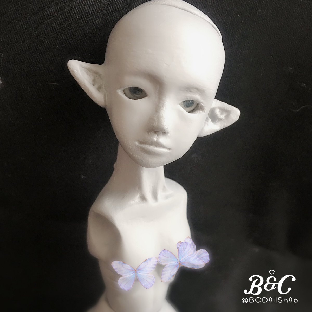bcdollshop's tweet photo. やっと体の部分がほぼ完成しました

#bcdollshop https://t.co/eYnRistquP