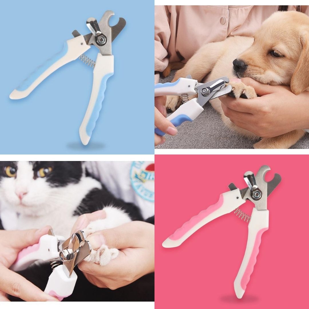 PET NAIL CLIPPER SCISSORS CLAW CLIPPERS TRIMMER
crazybuddiez.com/collections/do…
#instagrampets #petsagram #petsofig #petoftheday #ilovemypet #petlife #instapet #petsgram #pet #petsofinstagram