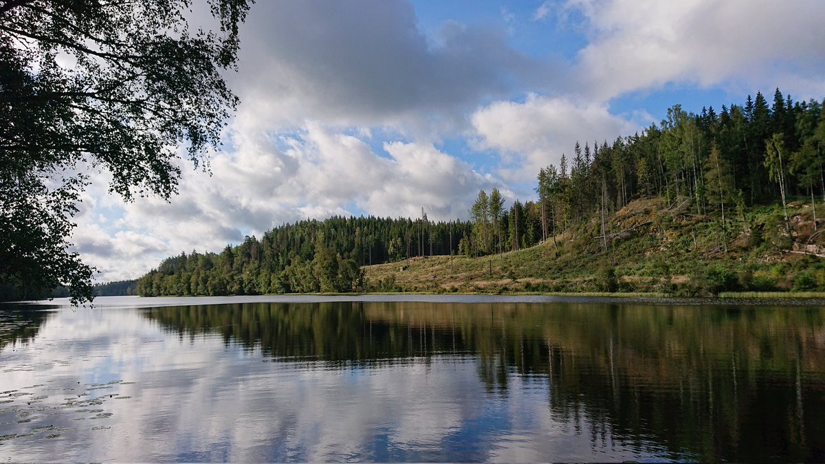 Time for a swim after breakfast. +17C in the water
#hertsmålen #östergötland #sweden #photofrommyheart