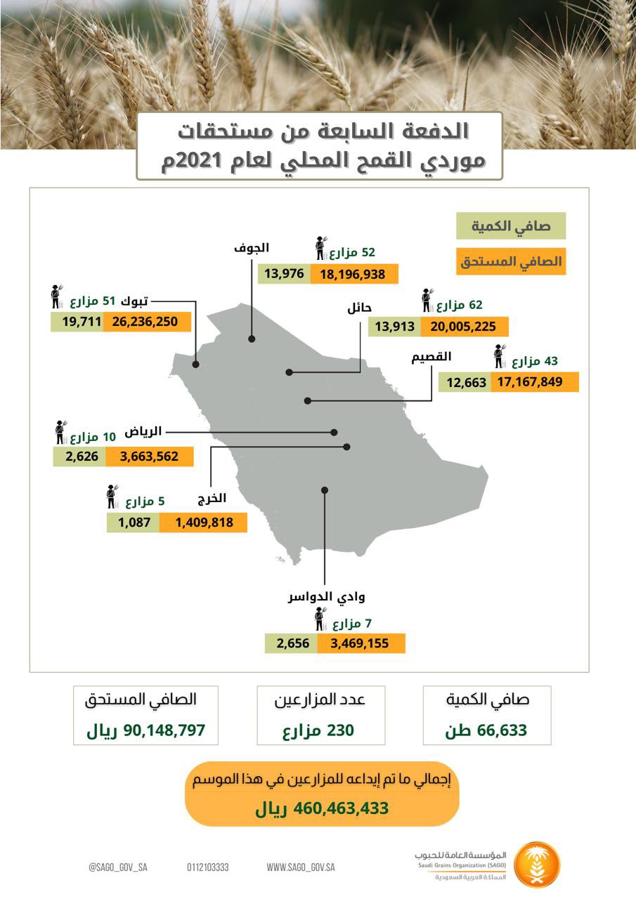 الصورة