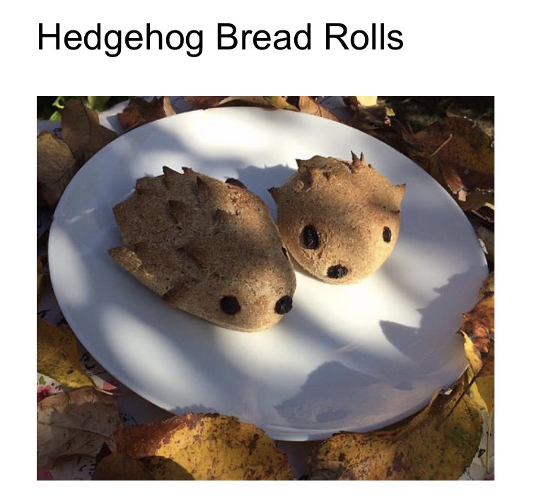 dotrythisschool's tweet photo. Looking for activities to keep the children busy this summer? Don’t forget our website is full of free resources to help you do just that. On our cookery page you can find recipes for hedgehog bread, easy pizzas and more! 
#summerholidays #thursdaymorning #baking #parenting https://t.co/e0dM1lqyQs