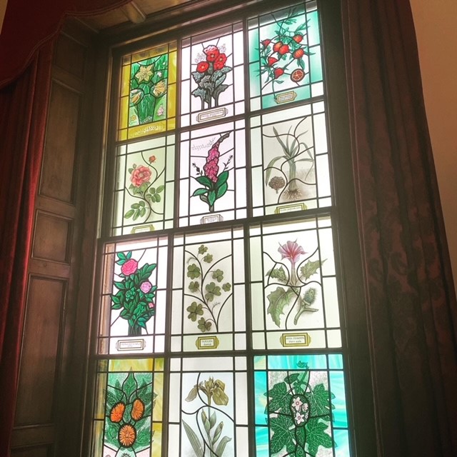 Last night's unveiling of the new stained glass windows in the Court room. Please have a look when you next visit us. A beautiful display of medicinal plants. Thank you to everyone who contributed.
