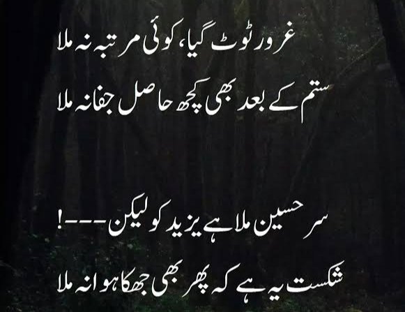 Danyalmohsin2's tweet photo. #10Muharram https://t.co/fAjsCnA7fp