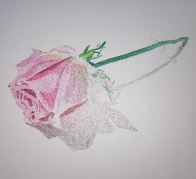 Twoucan バラ の注目ツイート イラスト マンガ コスプレ モデル