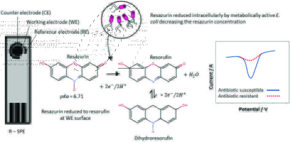 Kirsty (@drkirstyshaw) on Twitter photo Congratulations to Ben Crane on the first publication from from his PhD on rapid antibiotic susceptibility testing using resazurin bulk modified screen-printed electrodes pubs.rsc.org/en/content/art… with Jack Hughes, Mamun Rashid <a href="/DrSamRowley/">Dr Samuel J Rowley-Neale</a> <a href="/lintonmicro/">Dr Trish Linton</a> <a href="/Act_mmu/">Craig E Banks</a> <a href="/MMUEcolEnv/">Ecology & Environment Research Centre @ManMetUni</a> Congratulations to Ben Crane on the first publication from from his PhD on rapid antibiotic susceptibility testing using resazurin bulk modified screen-printed electrodes pubs.rsc.org/en/content/art… with Jack Hughes, Mamun Rashid <a href="/DrSamRowley/">Dr Samuel J Rowley-Neale</a> <a href="/lintonmicro/">Dr Trish Linton</a> <a href="/Act_mmu/">Craig E Banks</a> <a href="/MMUEcolEnv/">Ecology & Environment Research Centre @ManMetUni</a>