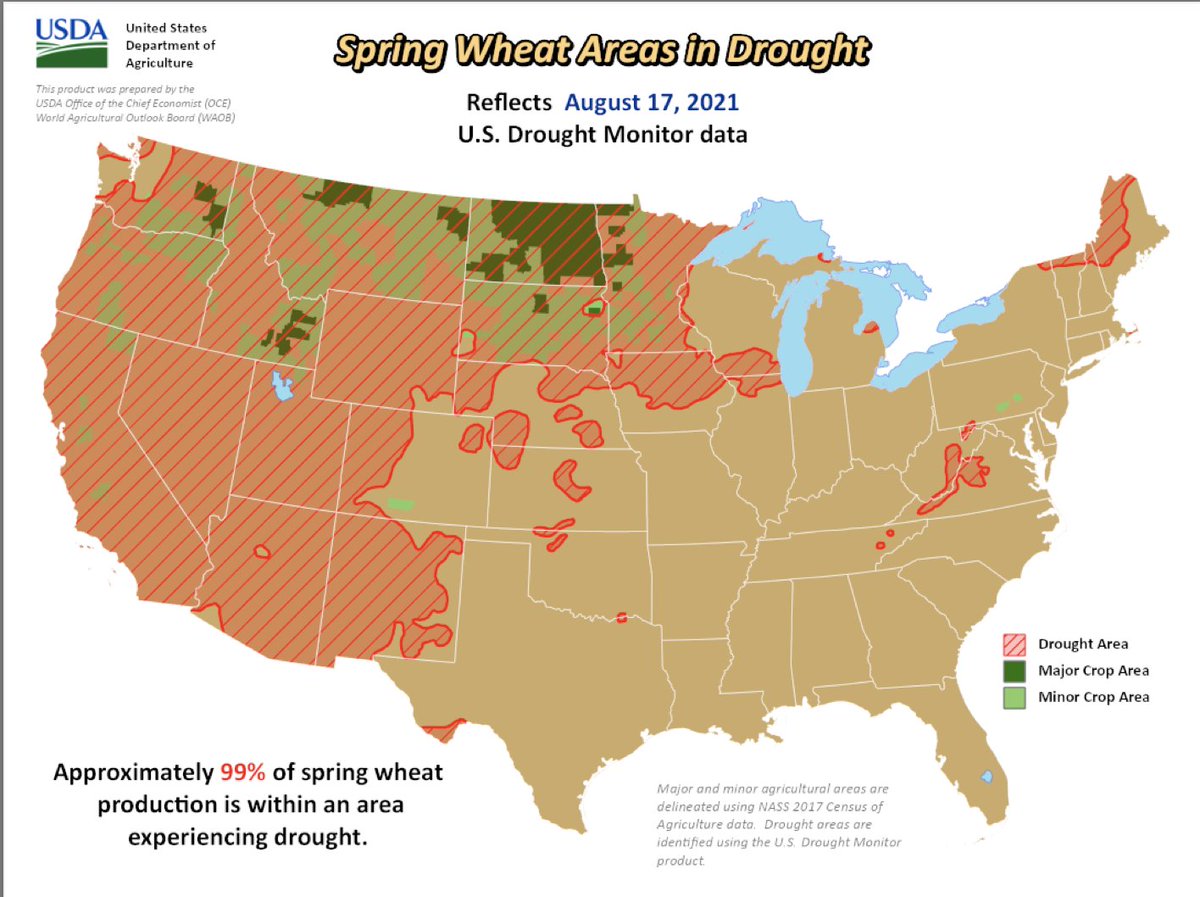 FarmPolicy's tweet image. Approximately 99% of spring #whet production is within an area experiencing #drought, @usda_oce