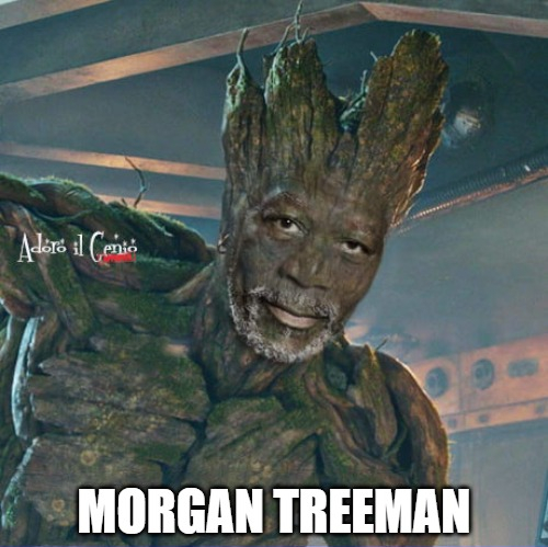 AdoroilGenio's tweet photo. ADORO IL GENIO - CINEMA
Spoiler sul prossimo #GuardianiDellaGalassia!
#adoroilgenio #19agosto #cinema #MorganFreeman #Groot #marvel #cinecomics #iosonogroot #green #verde #gogreen💚 #spoiler #MCU #rivelazioni #rumors https://t.co/c8oNgW7mPT