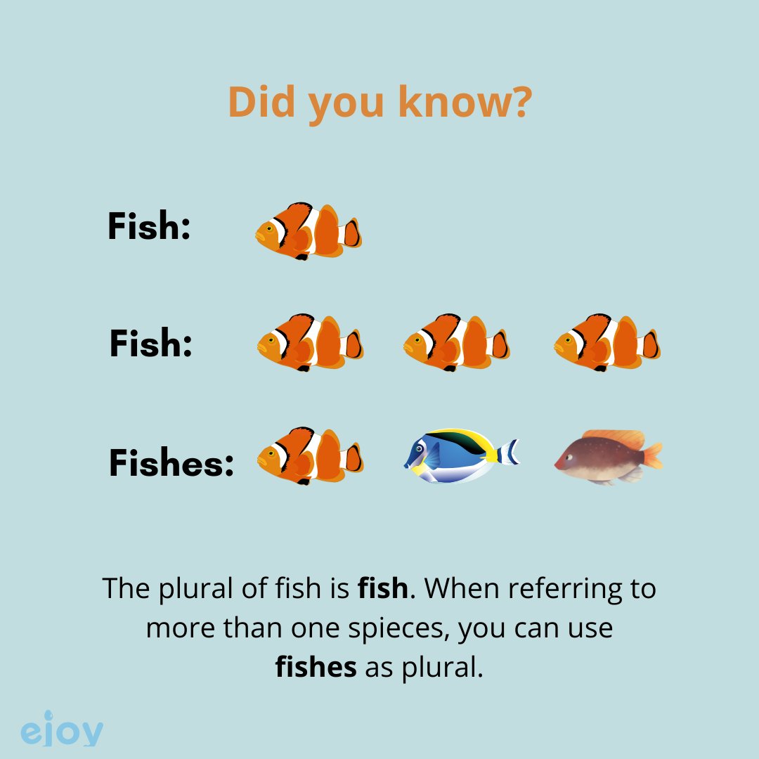 eJOY ENGLISH on Twitter: "🐠 🐟 "FISH" or "FISHES"??? 👉 FISH "Fish" can be  used as plural or singular. As plural, "Fish" can refer to multiple fish,  especially when they are all